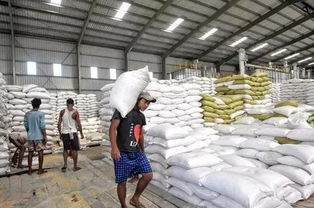 缅甸稻米出口比上财年同期增长3倍